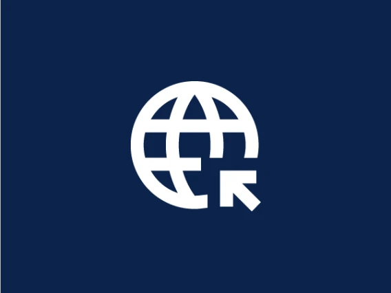 Website icon